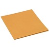 Šluostė VILEDA PROFESSIONAL PVA IRCHA 113673, 54X44CM