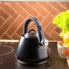 Virdulys, Plieninis virdulys su švilpuku, 2,5 l, matinės juodos spalvos, Klausberg kb-7948