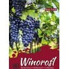 Viridia Ab Vynuogė. Biologija-veislės-auginimas.