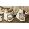 Virtuvinis kombainas Virtuvės robotas Cecotec Nana BabyCare FoodProcessor