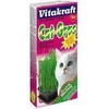 Kačių Skanėstai - Vitakraft Kačių Žolė Rinkinys 120 g