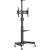 Laikiklis VivoLink Mobile stand upto VESA