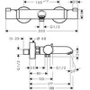 Termostatinis vonios maišytuvas Hansgrohe Ecostat 13114670