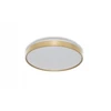 VTAC lubinis šviestuvas Plafon LED lubinis LUXO 24W 2640lm 4000K 840 IP20 GD auksinis 4099854653346