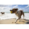 Waboba Fetch dog ball