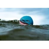 Vandens kamuolys Waboba Sharky Shark 9cm