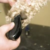 Animal trimmer pocket pro, Wahl