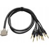 Warm Audio Šiltas garsas - Kabelinis garsas PREMIER DB25 - TRS 3m