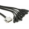 Warm Audio Šiltas garsas - Kabelinis garsas PREMIER DB25 - XLRf 3m