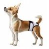 Wau Dog WAU DOG VET MAJTKI HIGIENICZNE skirta katėms I PSÓW NA RZEP S 34-42cm