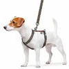 Wau Dog WAU Guard pakinktai 25mm/61-85cm Lampart