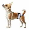 Wau Dog WAU DOG VET MAJTKI HIGIENICZNE skirta katėms I PSÓW NA RZEP XL 56-68cm