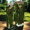 Weck Cylinder jar, 600 ml, Zylinder, 6 pcs