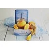 Weck Dekoratyvinis indelis 220 ml (12 vnt.), kambario, ausies, įsk. x2