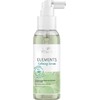 Raminamasis plaukų serumas Wella Professionals Elements Calming Serum 100ml