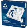 ARCTIC P14 MAX korpuso ventiliatorius, 4-pin, 140mm, baltas