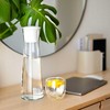 Wessper WES500 stiklinis gėrimų termosas su filtru