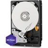 Western Digital Diskas WD Violetinė 4TB 3,5 "SATA III (WD 40PURX)