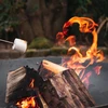 Westmann GP1 lauko laužas, LAUKO LAUŽAS, 4FIRE DUJŲ KEPIMO VIRŠUS
