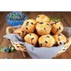 Guardini Cake tin 12 pcs. with carrying lid Bake Away 27 x 35 x 3 cm