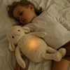 *****Whisbear avelė Lumi su funkcijomis/lempomis 45623