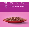 WHISKAS Saszetka sos Drób/Jag/Woł/Kur 80x85g