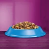 Kačių Maistas - Whiskas Su Tunų 7 Kg Sausas