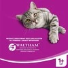 Whiskas Suaugusieji Sausas maistas suaugusiems jautiena katė 14kg