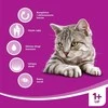 Whiskas Suaugusieji Sausas maistas suaugusiems jautiena katė 14kg