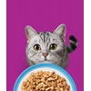 WHISKAS Suaugusių Žuvies Skanėstai 80x85g drėgnas maistas visaverčiam suaugusių kačių maitinimui želė