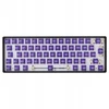 White Shark Baltas Shark Baltas Shark Purplepulse Mechanical Switches 25 pcs.