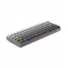 White Shark Žaidimų klaviatūra Balta Shark Nunchaku pilka Mėlyna Switch RGB Hot-Swap