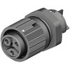 Wieland Elektrinė RST Mini serijos mini jungtis, 3 polių, lizdas, 1 krypties, montuojama ant skydo, 16A, IP66, IP68, IP69