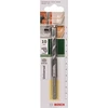 Bosch universalus gražtas SDS Quick 10x75x120 mm
