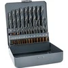 Grąžtas Alpen Metal drill bit set 008103211 HSS 25pcs