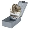 Grąžtas Wiertła Metalo grąžtai HSS-CO DIN338, šlifuoti, 25 vnt. (1-13 mm), prolinas