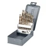 Grąžtas HSS-Co 1-10 mm 19gb Proline metalo grąžtų rinkinys