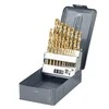 Grąžtas Wiertła Metalo grąžtai HSS, alavo, DIN338, šlifuoti, 19 vnt. (1-10 mm), prolinas