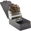 Grąžtas Wiertła Metalo grąžtai HSS DIN338 šlifavimui, trumpi, 25 vnt. (1-13 mm), prolinas