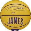 Wilson NBA žaidėjo ikona Stephen Curry mini kamuolinukas WZ4007401XB