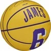 Wilson NBA žaidėjo ikona Stephen Curry mini kamuolinukas WZ4007401XB