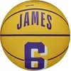 Wilson NBA žaidėjo ikona Stephen Curry mini kamuolinukas WZ4007401XB