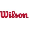 Wilson Team Tribute Toronto Raptors Mini Krepsinio Kamuolio WZ4017608XB