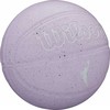 Wilson WNBA Heir Outdoor kamuolys krepšiniui WZ3016901XB