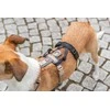 Winhyepet Šunims skirta apsauga nuo pabėgimo, juoda, L×XL: 59×92 cm/25 mm