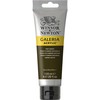 Akriliniai dažai Winsor & Newton Galeria 120 ml, 554 Raw Umber