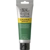 Winsor Newton Akriliniai dažai Galeria 120 ml - 484 Permanent Žalias Medium