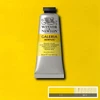 Winsor & Newton Galeria akriliniai dažai 60 ml procesinė geltona 527 (094376899511)