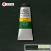 Winsor Newton Galeria akriliniai dažai 60 ml Hookers Žalias 311