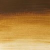 Winsor & Newton Winsor & Newton Professional Acrylic, 60 ml, Umbra, Tube